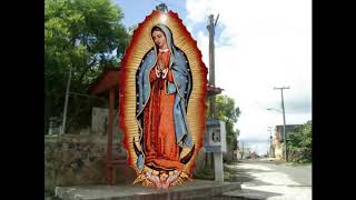 A TI MI VIRGENCITA - Gela