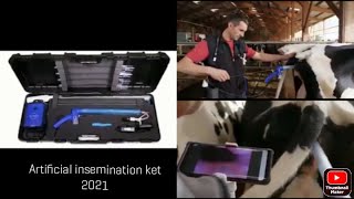 Artificial insemination ket (AI Gun) for cattle in  2022 Digital
