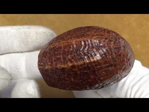 Pipa L'Anatra Sabbiata  - Full Bent Panel Billiard (AN95)