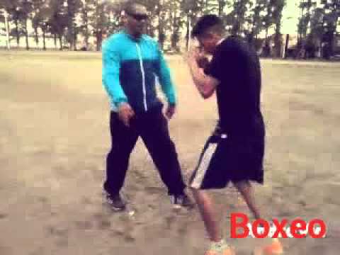 Boxeo Entrenando