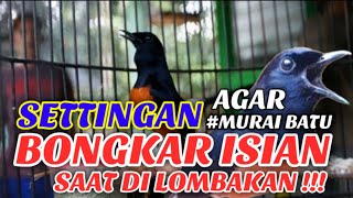 Download lagu SETINGAN AGAR MURAI BATU BONGKAR ISIAN SAAT LOMBA mp3