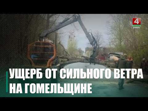 На Гомельщине сильный ветер повредил крышу школы и повалил деревья 