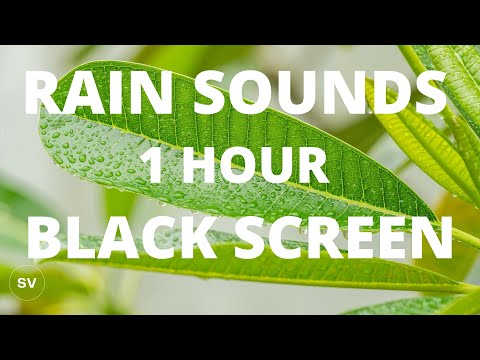 Rain Sounds for Sleeping 1 Hour Black Screen | Black Screen For Sleep