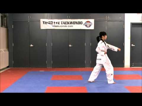 Poomsae # 3, Back View.wmv