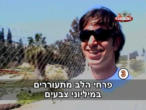 Harel Moyal, Harel Skaat, Adi Cohen / חלומות מתגשמים - הראל מויאל, הראל סקעת, עדי כהן (Karaoke)