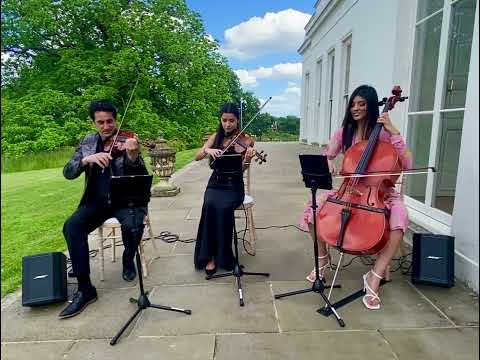 Video Garden String Quartet  London