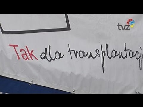 Turniej im Andrzeja Mierzwy