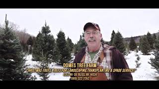 Domes Tree Farm, Bliss, NY