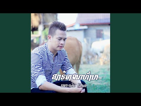 ສຽງຈາກທົ່ງນາ