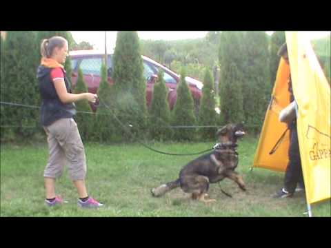 Gimmy z Jukasu - protection - 13,5 months