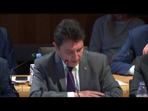 Sénat - CyberDéfense - Audition F. Parly - 15/10/ 2019