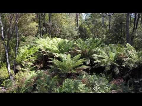 Rawlings Real Estate - Bassetts Road