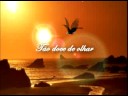 Pra te lembrar video