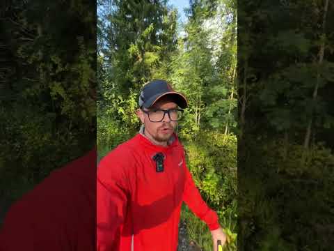 @chaserdriftteam pois Suomen sarjoista #drifting