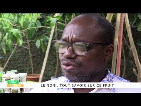 THE BENEFITS OF NONI