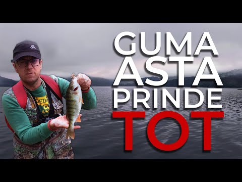 Pescuit FULGER la SALAU si BIBAN - Lacul Izvorul Muntelui (Bicaz)