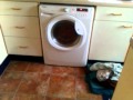 Uncles Hoover VH W656 D Washer Dryer