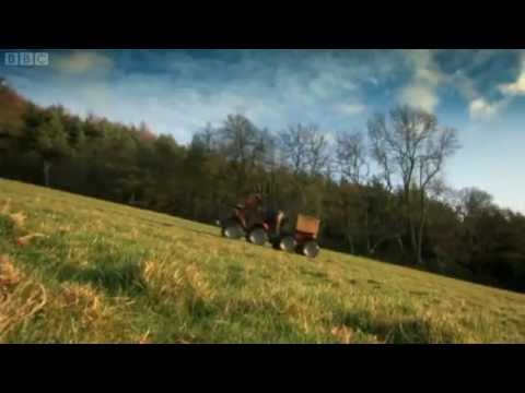 Fenton the Dog - Top Gear Remake