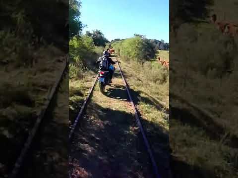 CF 450MT + VACAS + VIAS DEL TREN #CFMoto450MT #xtz250 #perfectodesorden #ferrocarrilesargentinos