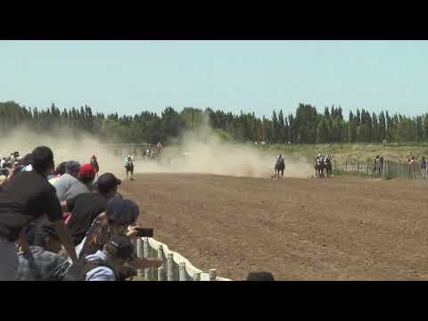DALMINE  Club Hipico "Cabo Alarcon" - Picun Leufu  -  15-01-2023