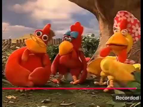 Os melhores engraçadas risada do cocoricó especial 20 anos DVD Completo 😂🤣😅