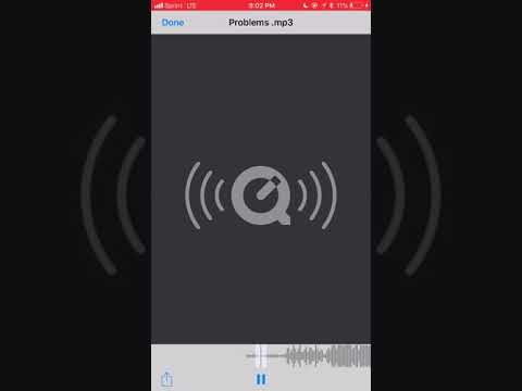 K Money 4x -GVC Baby