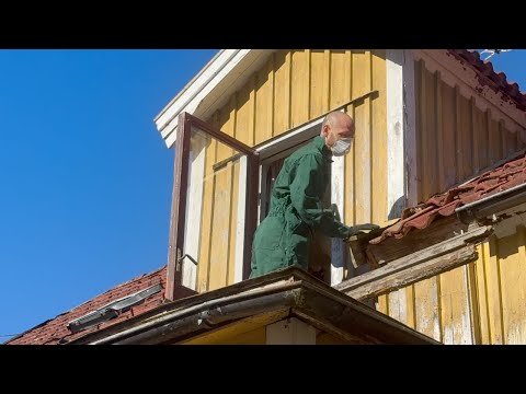 WE BOUGHT A COTTAGE IN SWEDEN 🇸🇪 (EP. 2)
