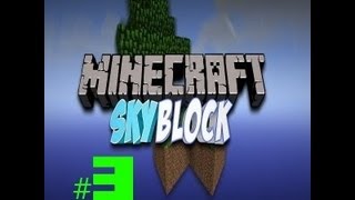 preview picture of video 'Skyblock ep.3: STOP CHEATING!!!!!'