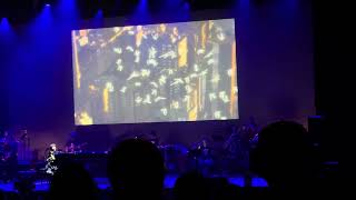Yoko Kanno &amp; SEATBELTS - BLUE