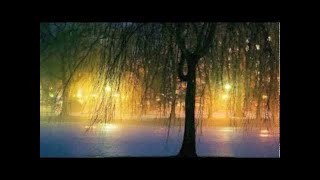 Sleepsong ~ Lullaby from a Secret Garden