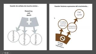 Implicancias de la biología tumoral en el manejo clínico de los pacientes con cáncer (Parte 1)