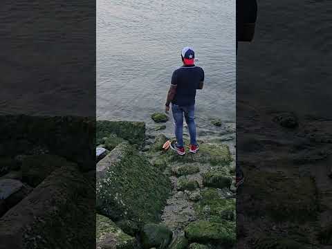 Fishing in Kuwait 🇰🇼Maliya beach ⛱️