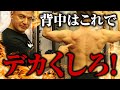 【背中トレ】これで分厚い背中を手に入れる!ローイングの本当の効かせ方と本当に効果がある3つの種目【筋トレ】