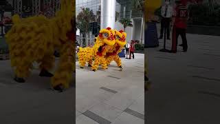 Download lagu Happy Chinese New year 2023. Lion Dance. Gong Xi Fa Cai mp3