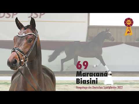 Lot 69: Hengst v. Maracana/Biasini