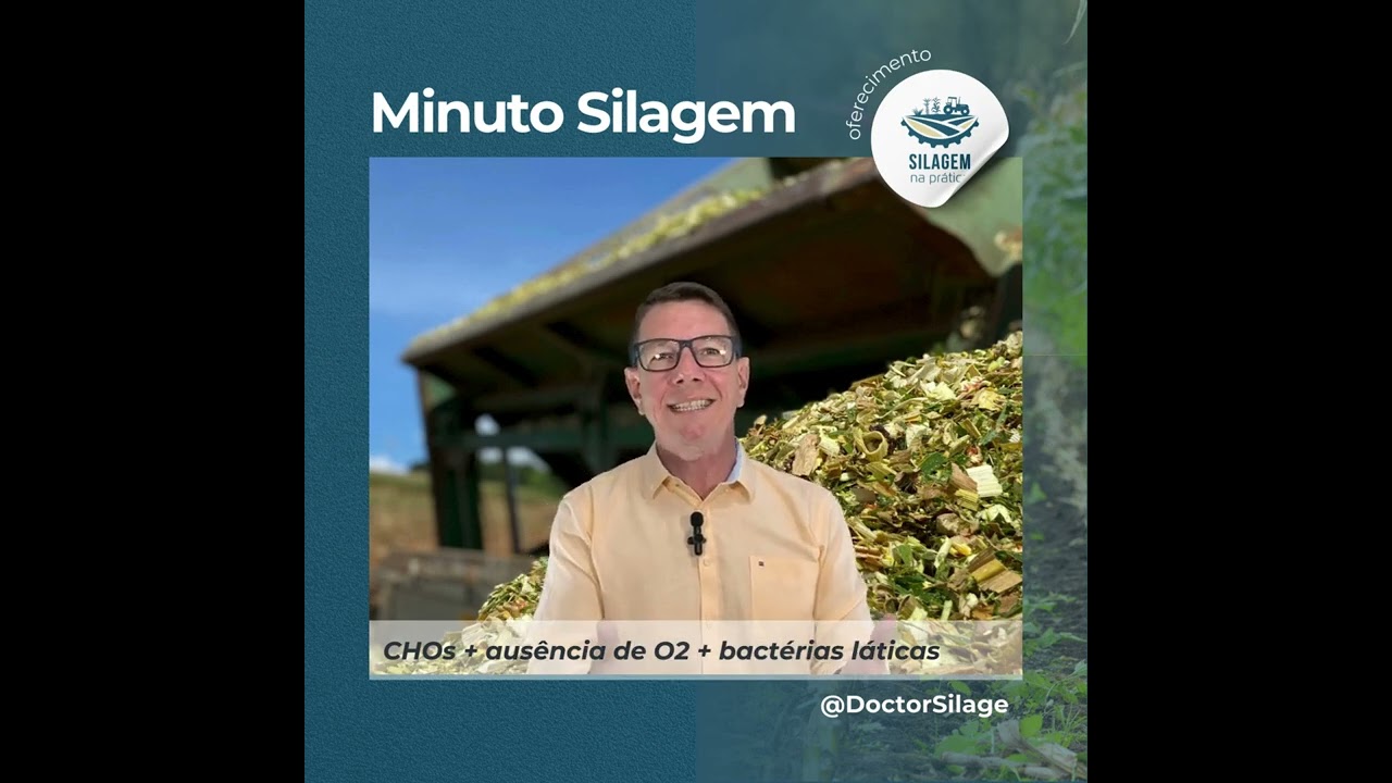 Pega esse código: Antes da silagem virar comida para o boi, a forragem virá comida para bactéria!