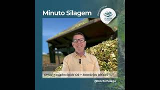Pega esse código: Antes da silagem virar comida para o boi, a forragem virá comida para bactéria!