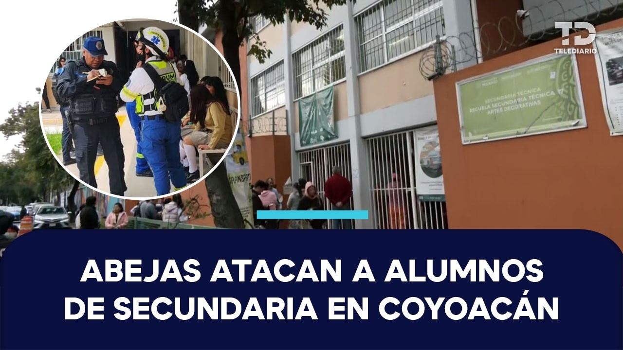 Enjambre ataca a estudiantes durante primer día de clases en secundaria de Coyoacán