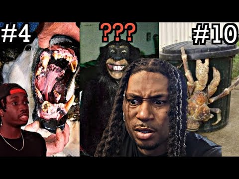 10 Most Disturbing Ways Animals Can Hunt You | Casual Geographic REACTION!!