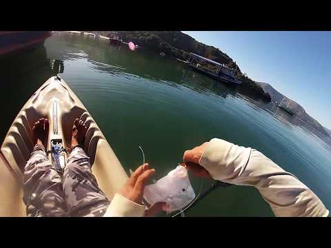 Camorim - Peixes e Águas Transparentes de Angra dos Reis - Pesca com Caiaque - Leogafanha