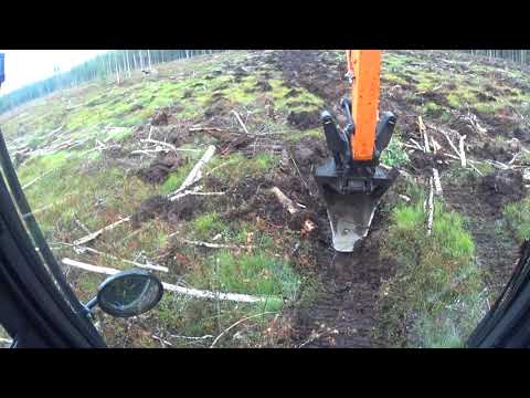 Tulloo nättiä mätästä ja sitikasta eroon!