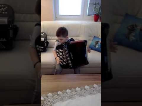 Aca Lazic - Frulasko kolo