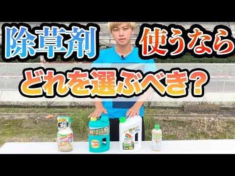 強力な天然除草剤のアイデア 重炭酸酢 粗塩 自家製まとめ