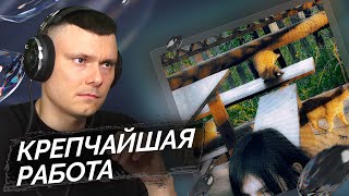 Медиа рецензия