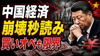 中国経済ガチカウントダウン！買いオペも効果薄で豚肉市場崩壊。不良債権処理も進まず日本のバブル超えの大問題