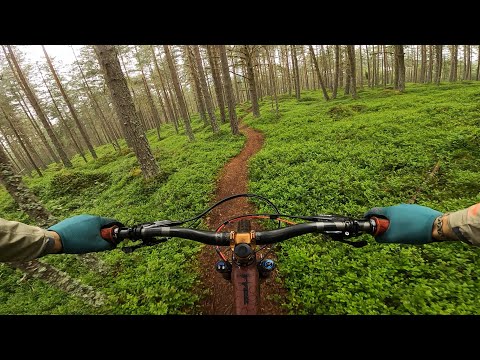 Sogndal Diary Ep01- Amlaholten / Kaupanger / Norway / Propain Tyee CF