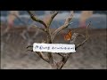 Netrikann Idhuvum Kadandhu Pogum Whatsapp Status Nayanthara