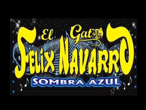 Mis Triste Fracaso - El Gato Felix Navarro