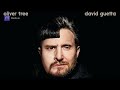 Oliver Tree Feat David Guetta Here We Go Again