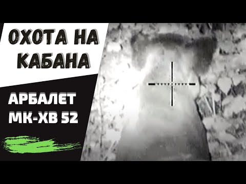 Охота на кабана с арбалетом МК-ХВ52